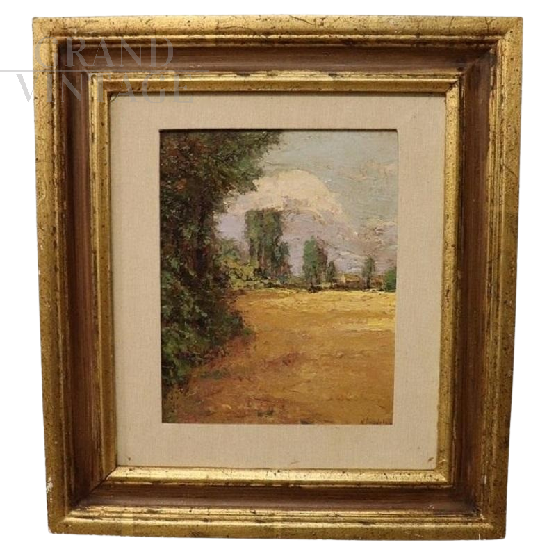  N. Chianese - Dipinto con paesaggio di campagna, olio su cartone primi '900                           