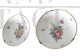 Antique pair of painted Ginori porcelain plates from the 19th century