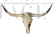 Texas cow wooden trophy with long horns