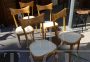 5 sedie vintage svedesi in faggio biondo, anni '60
