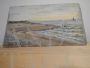 Deschamps - dipinto con oceano e spiaggia di Caienna                          
                            