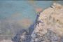 Cesare Bentivoglio - dipinto paesaggio di montagna con fiume, firmato