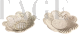 Coppia di piatti centrotavola antichi in maiolica traforata                            