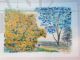 Mimosa e Jacaranda, dipinto litografia di Michele Cascella