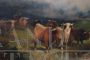 Gibb Thomas Henry - Dipinto antico di paesaggio con mucche                            