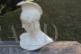 Scultura busto di Achille in gesso, Italia anni '50