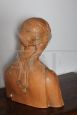 Scultura liberty con busto di nobildonna in terracotta, Toscana anni '20