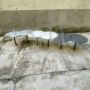 Tavolini da salotto modulari di Hosoe e Martinelli per Arflex, Italia anni '80