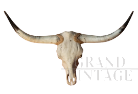 Trofeo in legno con corna di mucca del Texas