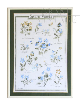 Vintage floral poster from the 60s