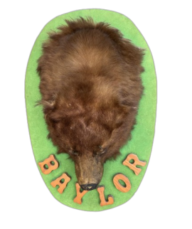 Wall bear head on wooden base