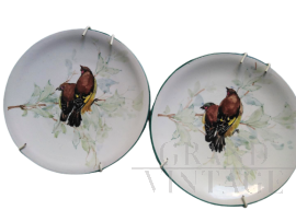 Pair of hand-decorated Bassanelli plates