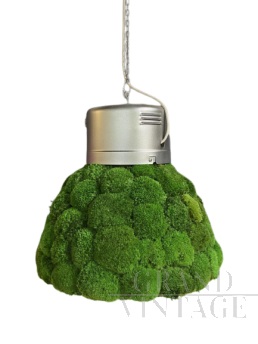 Industrial hanging lamp with moss applications