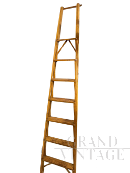 Bookcase ladder designed by Franco Albini