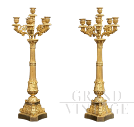 Coppia di candelabri antichi Carlo X a sei fiamme in bronzo dorato                            