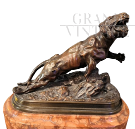 J. J. Hesteau - scultura di tigre ferita in bronzo, Francia primi '900                            