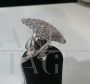 D.D Jewelry ring in white gold and diamonds