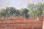 Olive grove in Tarquinia - painting by Alfieri Manlio, 20th century oil on canvas