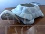 Large white Bassano ceramic container turtle