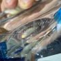 Clear and blue Murano glass centerpiece bowl, 1970s