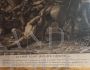 Pair of etchings by Audran Gerard based on an artwork by Charles Le Brun, 17th century - Louis XIV