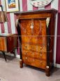 19th century Empire secretaire in walnut and walnut crotch