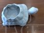 Large white Bassano ceramic container turtle