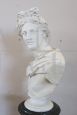 Bust of Apollo in plaster, neoclassical style, first half of the 20th century