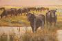 Antique signed painting with bucolic scene, oil on canvas                             
                            