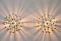 Pair of Pistillo wall lamps by Studio Tetrarch for Valenti, 1970s
