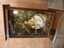 HOLY FAMILY IN WOODEN DISPLAY CASE