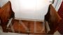 Antique single boat bed in walnut