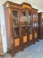 Large antique display bookcase in rosewood and birch, 19th century