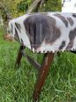 Vintage ottoman in wood and spotted velvet