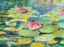 Lake with Water Lilies - painting by Miranda Magistrelli