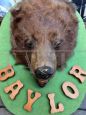Wall bear head on wooden base