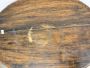Antique Louis Philippe era oval walnut side table