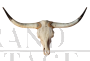 Texas cow wooden trophy with long horns