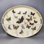 Oval metal tray by Piero Fornasetti with butterflies, Italy 1970s