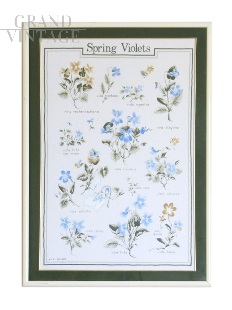 Poster floreale vintage degli anni '60