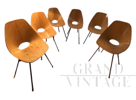 Set di 6 sedie Medea di Vittorio Nobili per Tagliabue, 1955                            