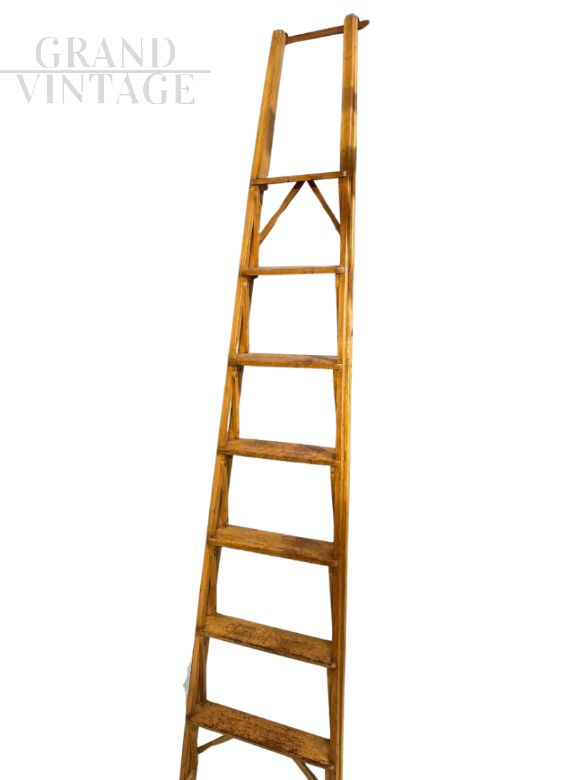 Bookcase ladder designed by Franco Albini